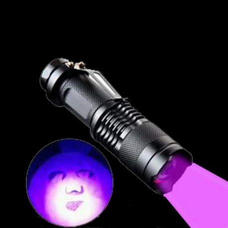 Torcia di Luce Ultravioletta con 10 Watt