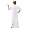 Costume Toga Unisex