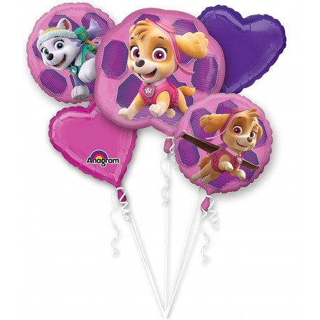 Bouquet di Palloncini Paw Patrol Rosa Online