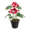 Pianta Foglie Pungitopo Finta con Bacche Rosse 20cm Shop