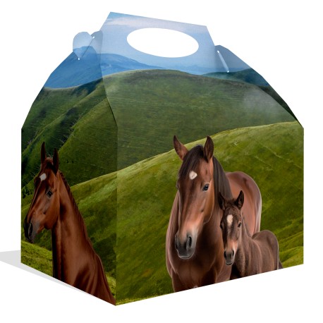 Caja Caballo y Pony