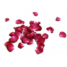 Petali di rosa finti colore rosso - Vendita online - Aurora Fun & Play